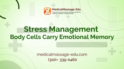 Stress Management - Body Cells carry emotional memory